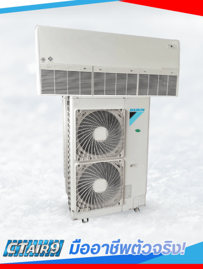 มืออาชีพตัวจริง